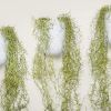 Home Plant Background Wall Decoration